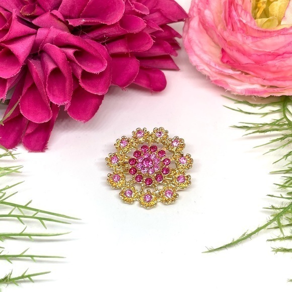 Jewelry - NEW⚜️Pink Crystal Cluster Embellished Brooch